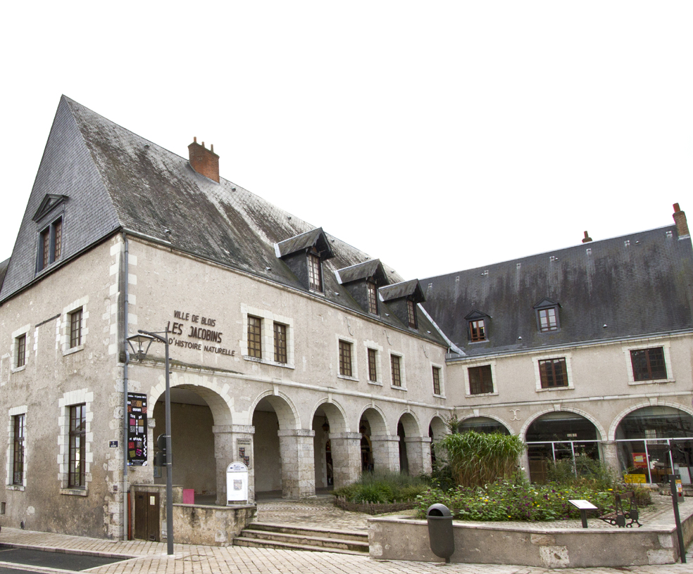 Muséum naturel de Blois