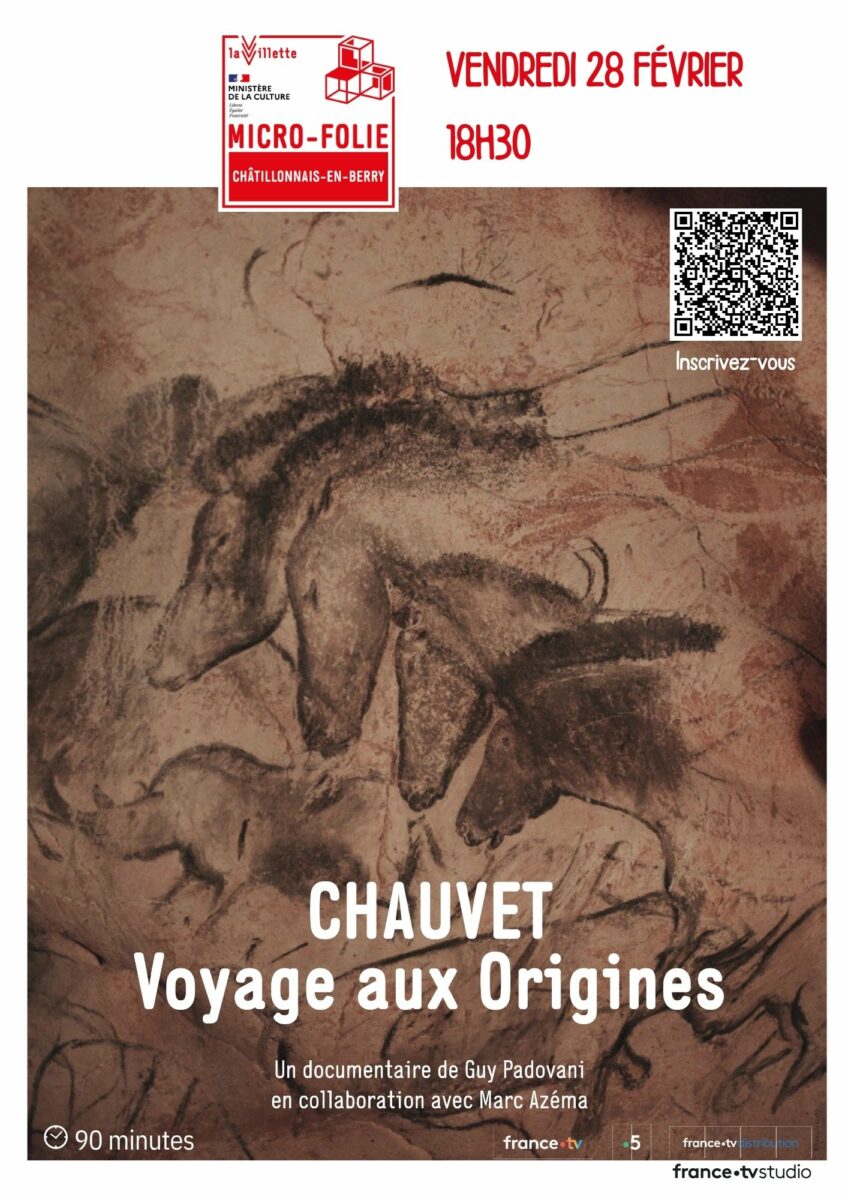 affiche-documentaire-grotte-chauvet